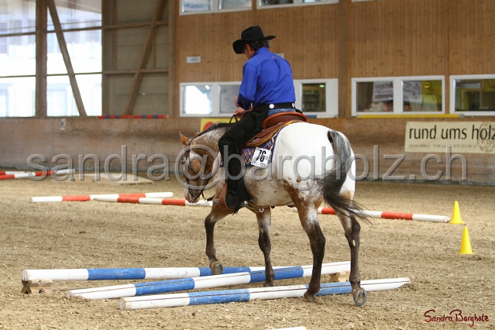 26-ApHC GT_090.jpg